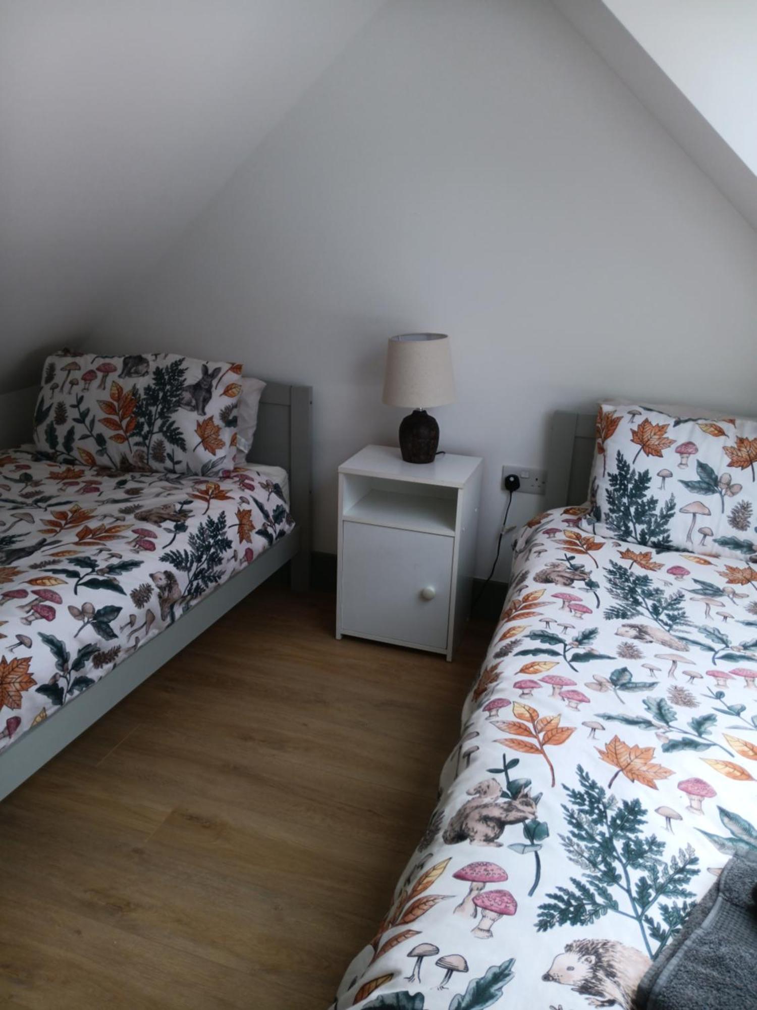 Rose Cottage Killarney Dış mekan fotoğraf